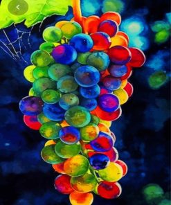 Colorful Grapevines Paint By Number