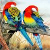 Eastern Rosellas Paint By Number