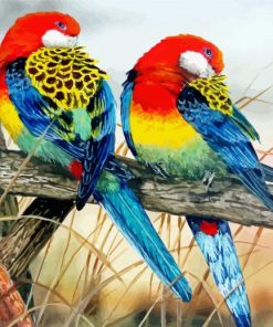 Eastern Rosellas Paint By Number