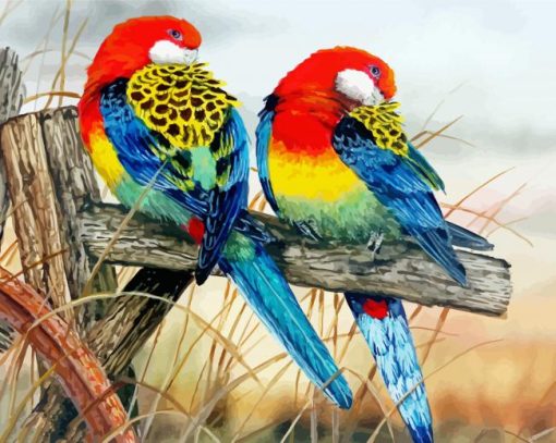 Eastern Rosellas Paint By Number