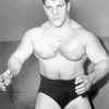 Fighter Bruno Sammartino Paint By Number