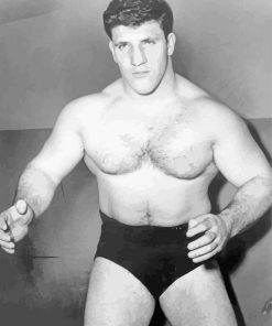 Fighter Bruno Sammartino Paint By Number