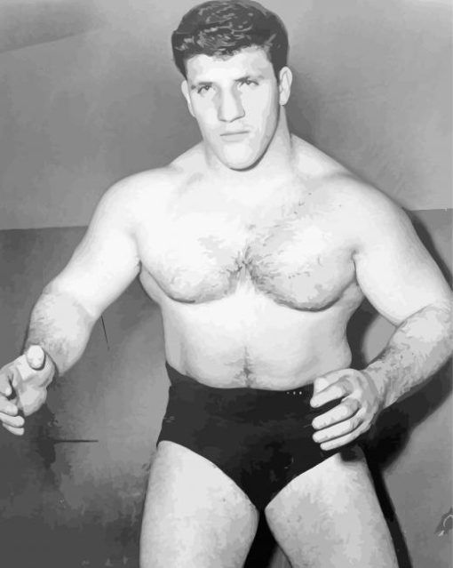 Fighter Bruno Sammartino Paint By Number