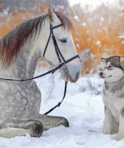 Husky And Dapple Horse Paint By Number