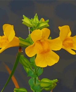 Monkeyflowers Paint By Number