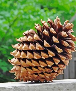 Pine Cone Paint By Number