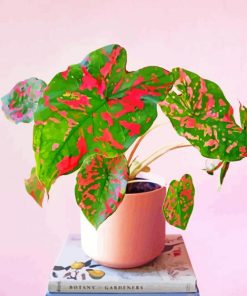 Pink And Green Plants On Books Paint By Number