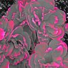 Pink Grey Flowers Art Paint By Number