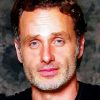 The Actor Andrew Lincoln Paint By Number