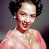 The Beautiful Actress Dorothy Dandridge Paint By Number