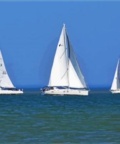 Three White Sailboats Paint By Number