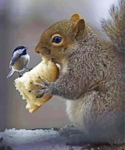 Tit And Red Squirrel Eating Paint By Number