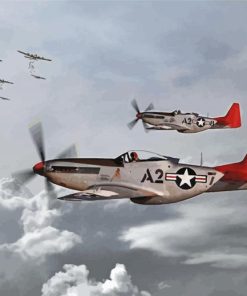 Tuskegee Airmen Military Planes Paint By Number