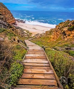 Wooden Stairs Path To The Sea Paint By Number