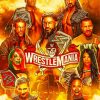 Wwe Poster Paint By Number