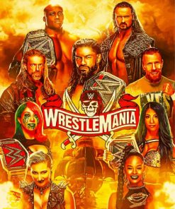 Wwe Poster Paint By Number