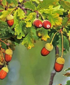 Acorns Branch Paint By Number