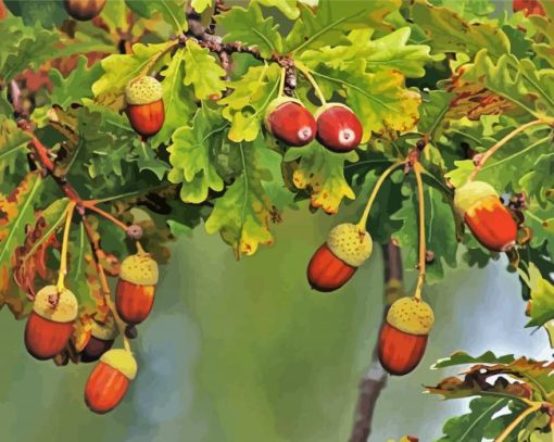 Acorns Branch Paint By Number