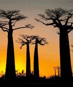 African Trees Silhouette Paint By Number