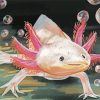 Axolotl Art Paint By Number