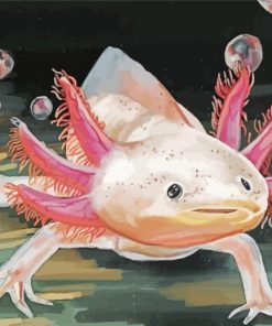 Axolotl Art Paint By Number