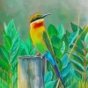 Bee Eater Bird Paint By Number