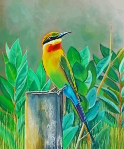 Bee Eater Bird Paint By Number