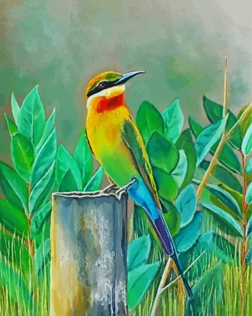 Bee Eater Bird Paint By Number