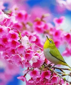 Bird And Blossom Paint By Number