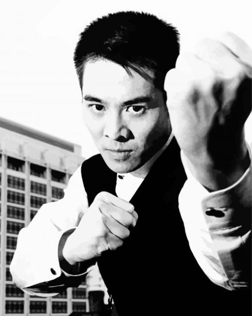 Black And White Jet Li Paint By Number