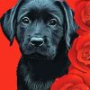 Black Lab With Roses Paint By Number