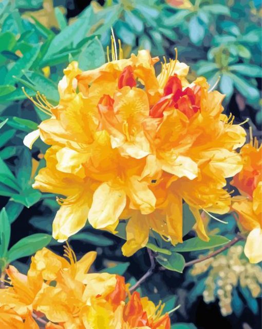 Blooming Yellow Azalea Plants Paint By Number