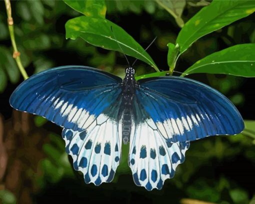 Blue And White Butterfly Wings Paint By Number