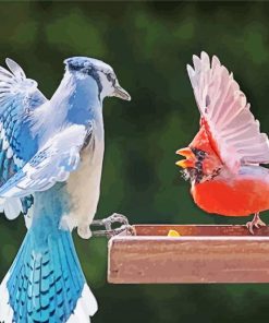 Blue Jay And Cardinal Birds Paint By Number