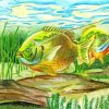 Bluegill Fish Art Paint By Number