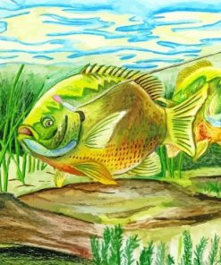 Bluegill Fish Art Paint By Number