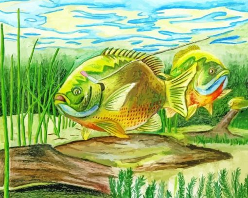 Bluegill Fish Art Paint By Number