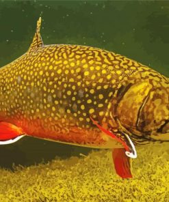 Brook Trout Underwater Paint By Number