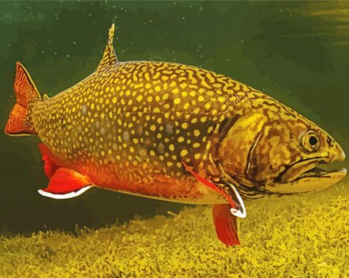 Brook Trout Underwater Paint By Number