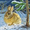 Bunny In Snow Paint By Number