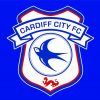 Cardiff City Football Logo Paint By Number