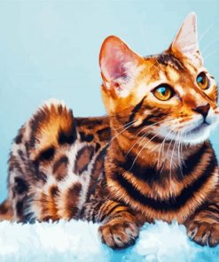 Cat Bengal Illustration Paint By Number