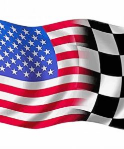 Checker Flag Paint By Number