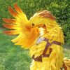 Chocobo Character Paint By Number