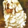 Clumber Spaniel Paint By Number