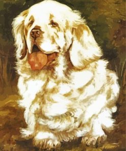 Clumber Spaniel Paint By Number