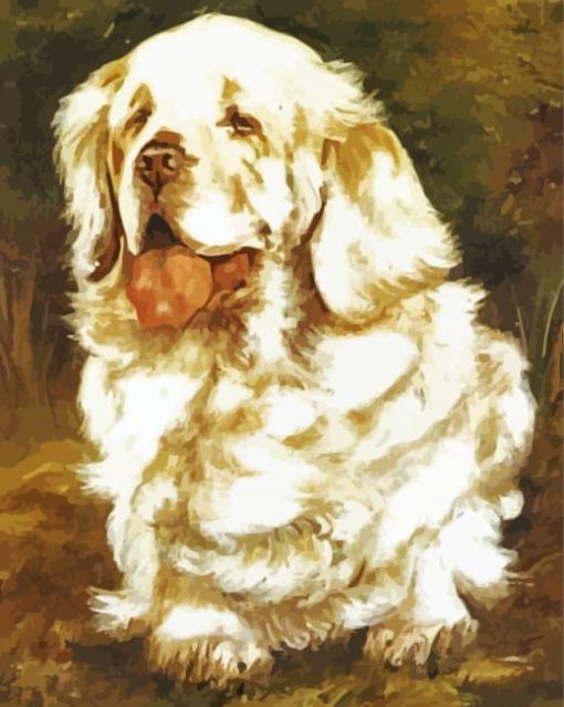 Clumber Spaniel Paint By Number