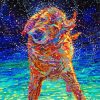 Colorful Wet Dog Shaking Paint By Number