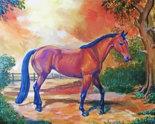 Cool Quarter Horse Paint By Number