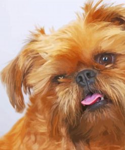 Cute Brussels Griffon Paint By Number